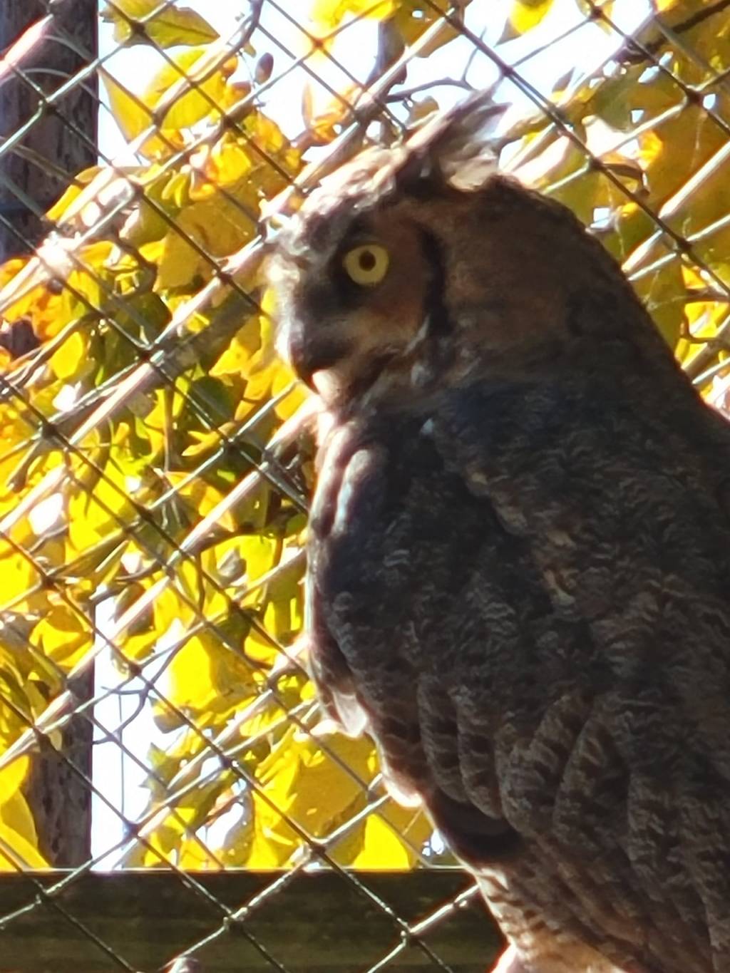 October 25, 2023&nbsp;catch-up