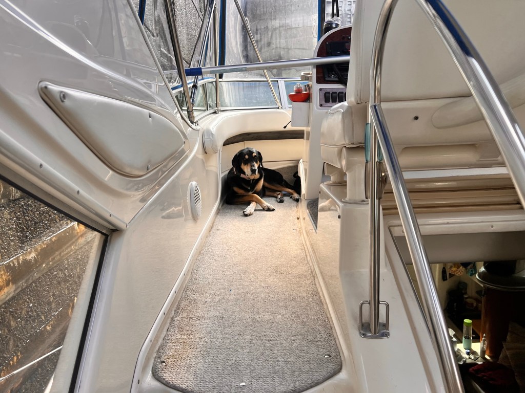 Travel day #19&nbsp;stats