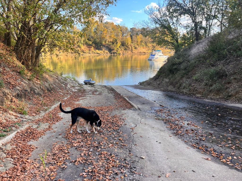 Travel Day #21&nbsp;stats