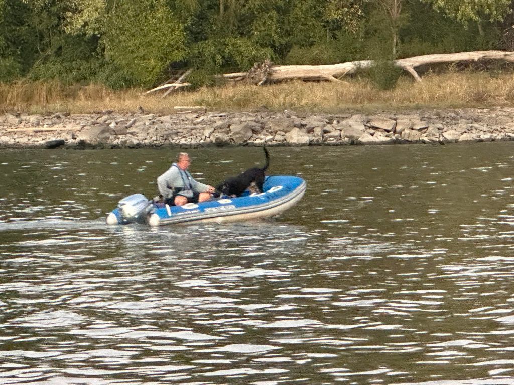 Travel day #8&nbsp;stats