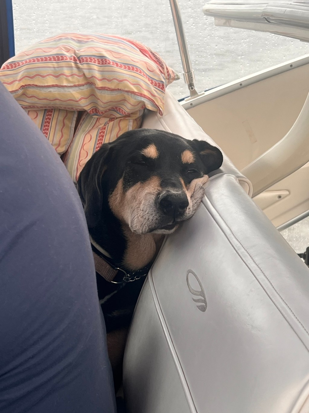 Travel Day #67&nbsp;stats