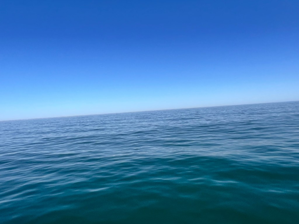 Travel day # 75&nbsp;stats